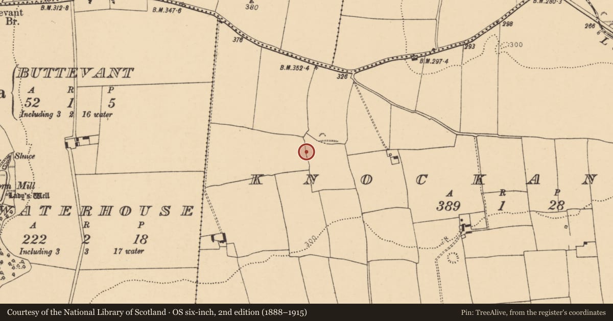 Ordnance Survey six-inch map, 2nd edition (1888–1915) covering the location of Enclosure, Knockanare, County Cork, with a pin at the register's coordinates