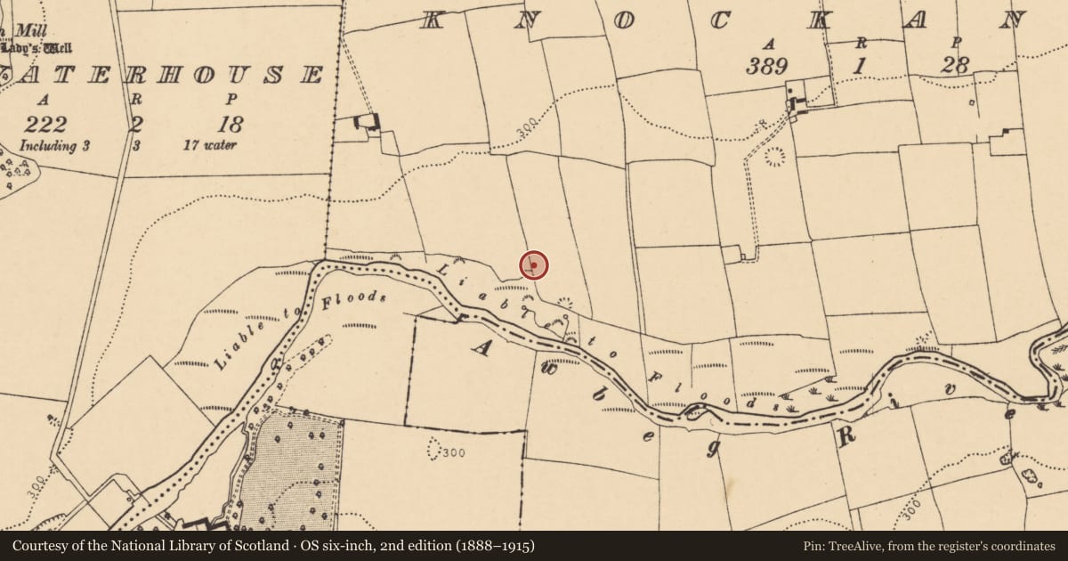 Ordnance Survey six-inch map, 2nd edition (1888–1915) covering the location of Ring-ditch, Knockanare, County Cork, with a pin at the register's coordinates