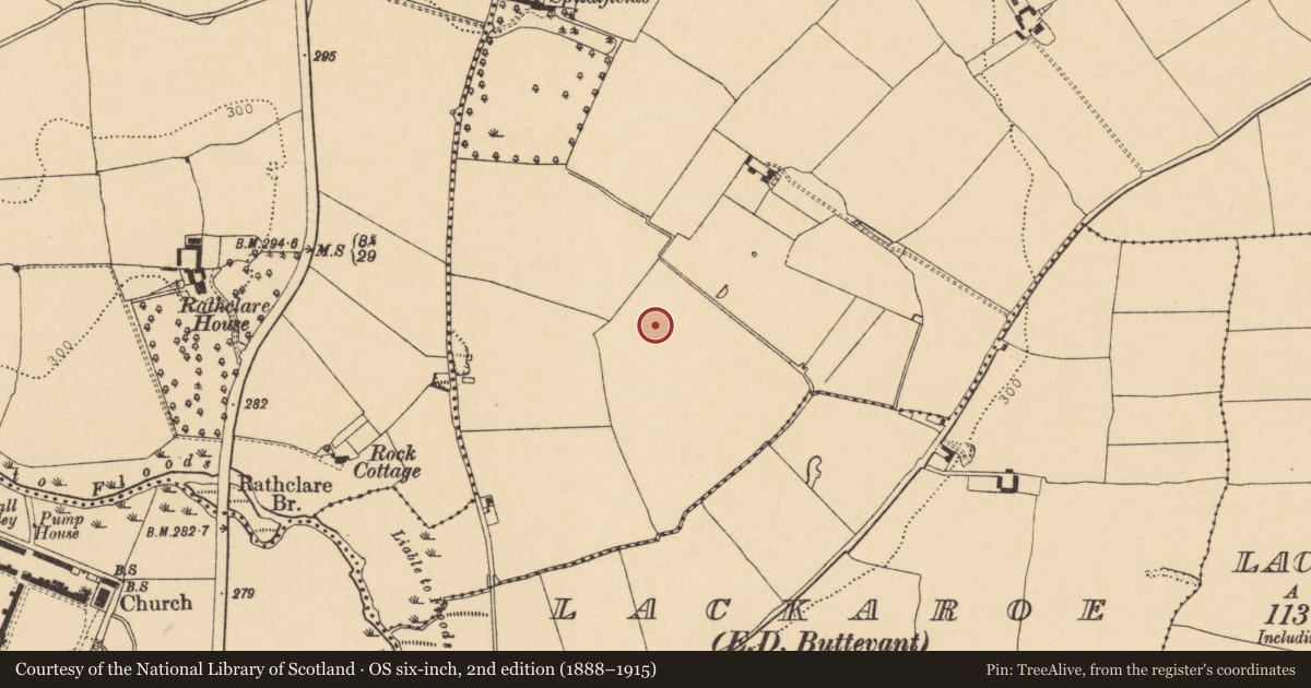 Ordnance Survey six-inch map, 2nd edition (1888–1915) covering the location of Standing stone, Spital, County Cork, with a pin at the register's coordinates