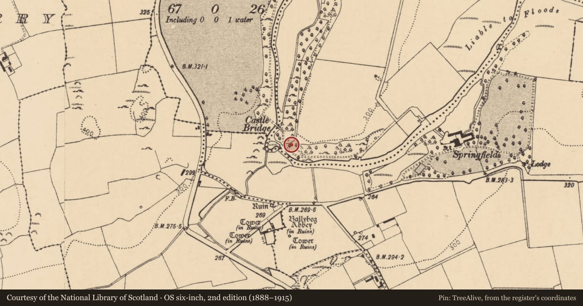 Ordnance Survey six-inch map, 2nd edition (1888–1915) covering the location of Mill - unclassified, Waterhouse, County Cork, with a pin at the register's coordinates