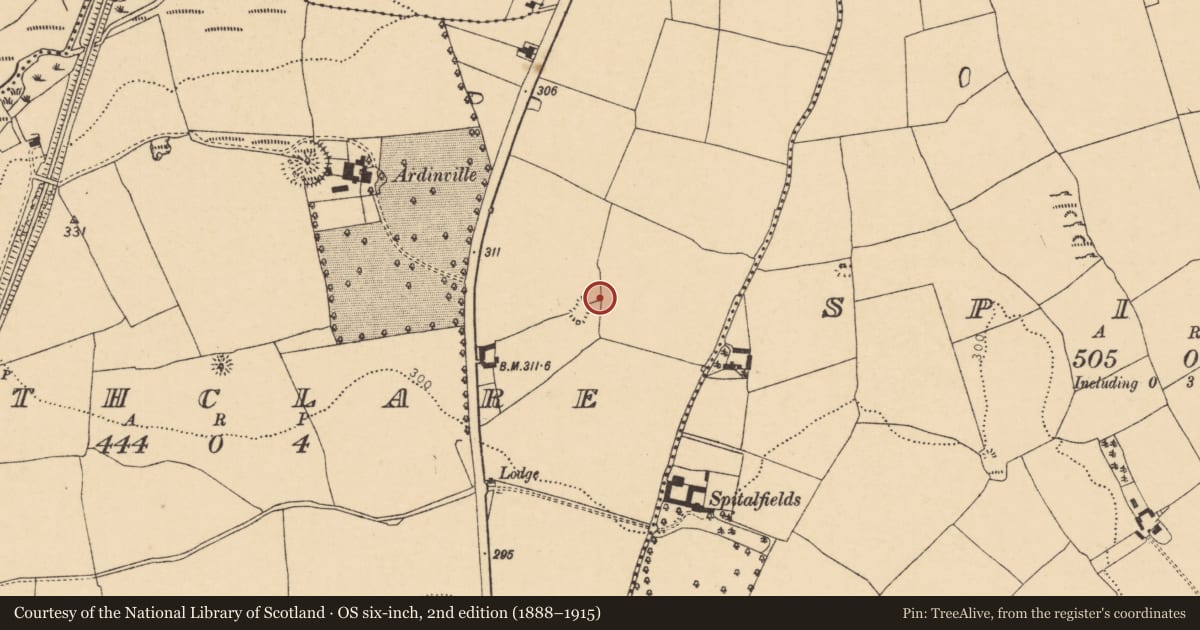 Ordnance Survey six-inch map, 2nd edition (1888–1915) covering the location of Field system, Rathclare, County Cork, with a pin at the register's coordinates