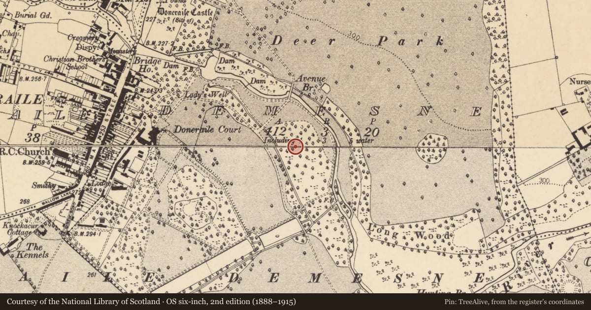 Ordnance Survey six-inch map, 2nd edition (1888–1915) covering the location of Decoy pond, Demesne, County Cork, with a pin at the register's coordinates