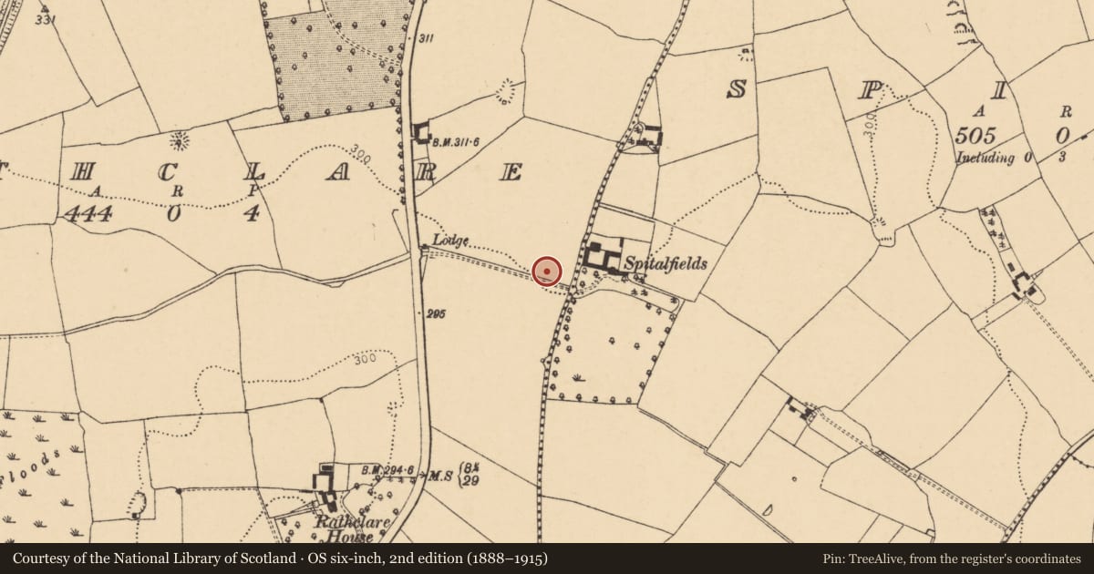 Ordnance Survey six-inch map, 2nd edition (1888–1915) covering the location of Standing stone, Rathclare, County Cork, with a pin at the register's coordinates