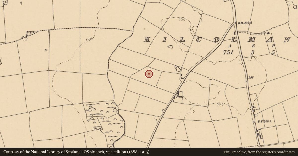 Ordnance Survey six-inch map, 2nd edition (1888–1915) covering the location of Fulacht fia, Kilcolman West, County Cork, with a pin at the register's coordinates