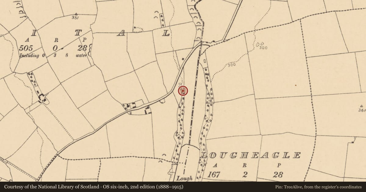 Ordnance Survey six-inch map, 2nd edition (1888–1915) covering the location of Fulacht fia, Spital, County Cork, with a pin at the register's coordinates