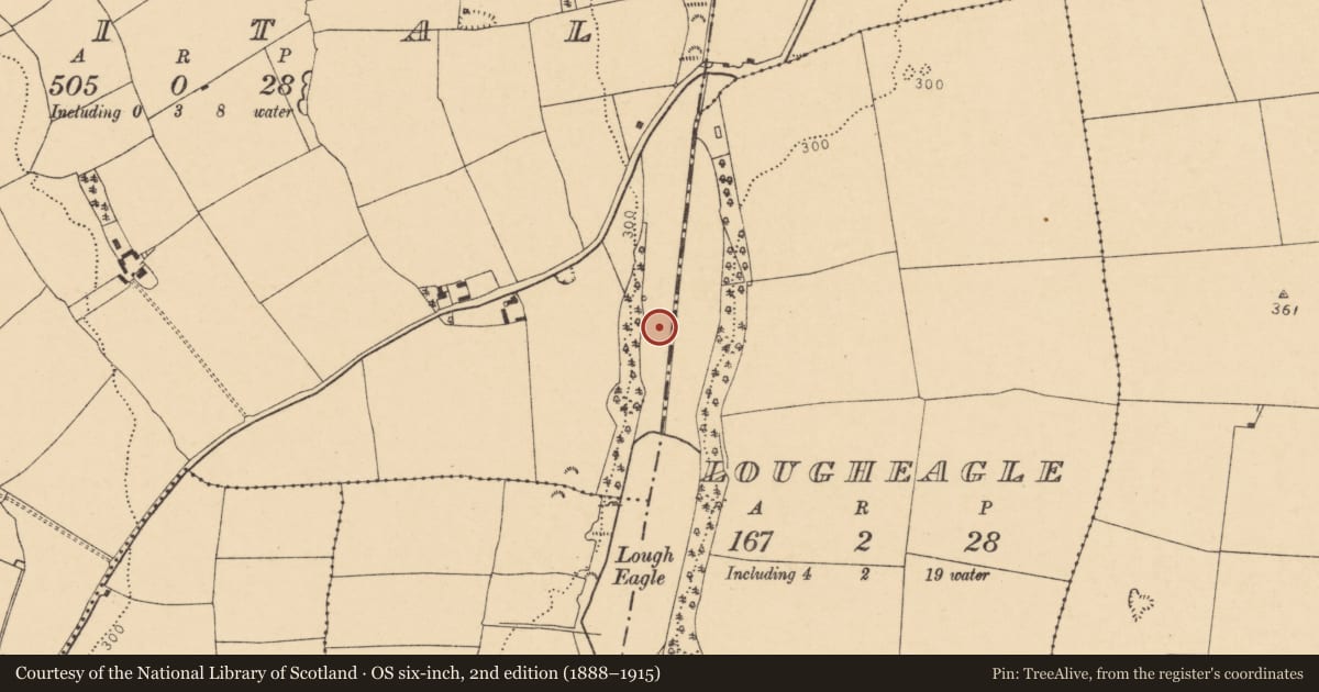 Ordnance Survey six-inch map, 2nd edition (1888–1915) covering the location of Fulacht fia, Spital, County Cork, with a pin at the register's coordinates