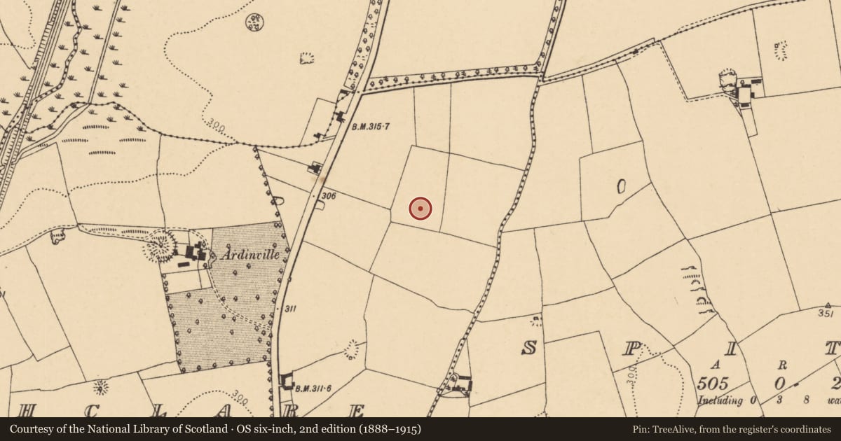Ordnance Survey six-inch map, 2nd edition (1888–1915) covering the location of Enclosure, Rathclare, County Cork, with a pin at the register's coordinates
