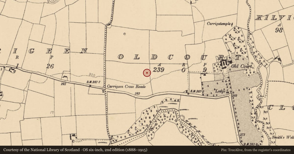 Ordnance Survey six-inch map, 2nd edition (1888–1915) covering the location of Enclosure, Oldcourt, County Cork, with a pin at the register's coordinates