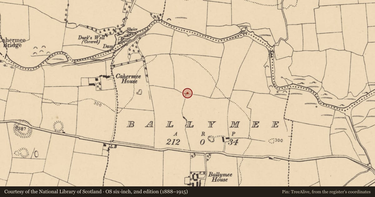 Ordnance Survey six-inch map, 2nd edition (1888–1915) covering the location of Enclosure, Ballymee, County Cork, with a pin at the register's coordinates