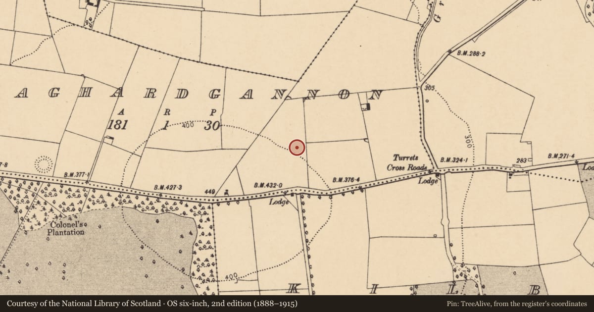 Ordnance Survey six-inch map, 2nd edition (1888–1915) covering the location of Burnt mound, Skaghardgannon, County Cork, with a pin at the register's coordinates