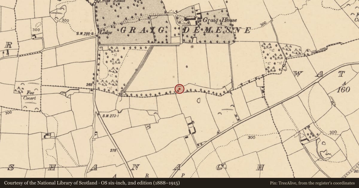 Ordnance Survey six-inch map, 2nd edition (1888–1915) covering the location of Linear earthwork, County Cork, with a pin at the register's coordinates