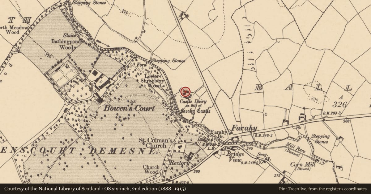 Ordnance Survey six-inch map, 2nd edition (1888–1915) covering the location of Castle - unclassified, Ballyshonock, County Cork, with a pin at the register's coordinates