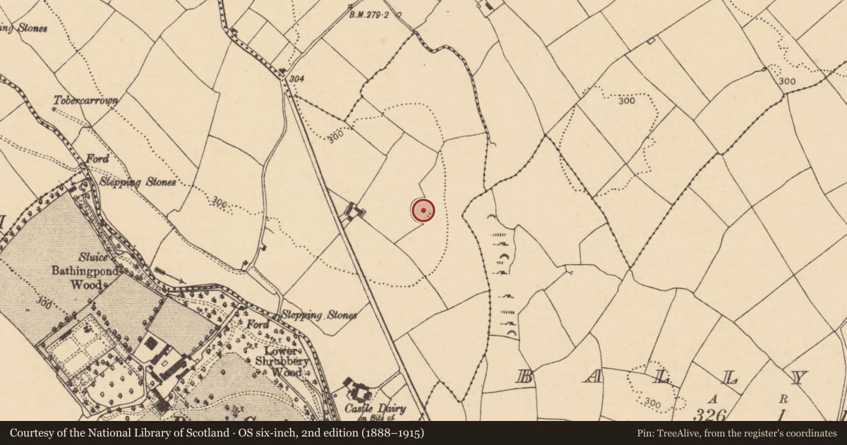 Ordnance Survey six-inch map, 2nd edition (1888–1915) covering the location of Ringfort - rath, Ballyshonock, County Cork, with a pin at the register's coordinates