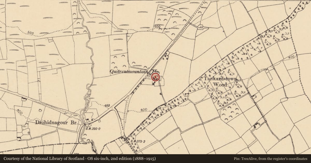 Ordnance Survey six-inch map, 2nd edition (1888–1915) covering the location of Mill - unclassified, Quitrent Mountain, County Cork, with a pin at the register's coordinates