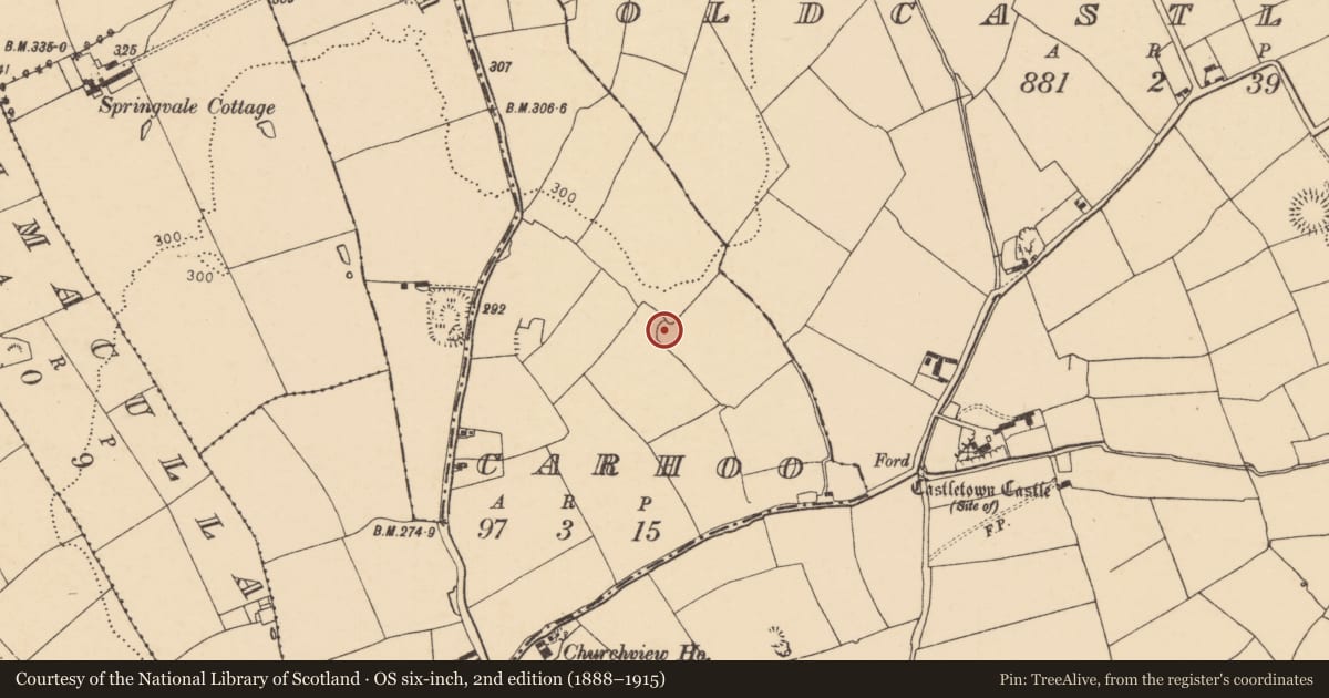 Ordnance Survey six-inch map, 2nd edition (1888–1915) covering the location of Ringfort - rath, Carhoo, County Cork, with a pin at the register's coordinates