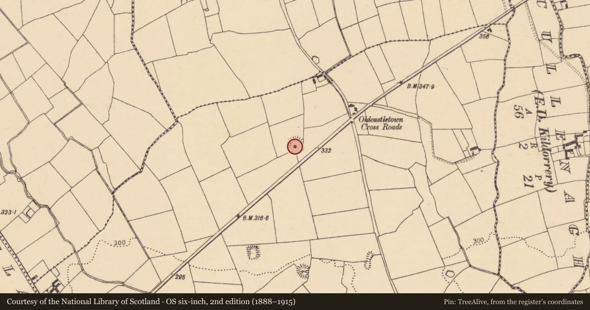 Ordnance Survey six-inch map, 2nd edition (1888–1915) covering the location of Ringfort - rath, Oldcastletown, County Cork, with a pin at the register's coordinates