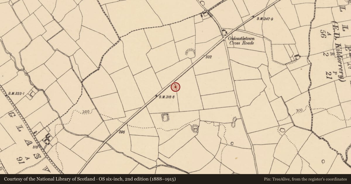 Ordnance Survey six-inch map, 2nd edition (1888–1915) covering the location of Souterrain, Oldcastletown, County Cork, with a pin at the register's coordinates