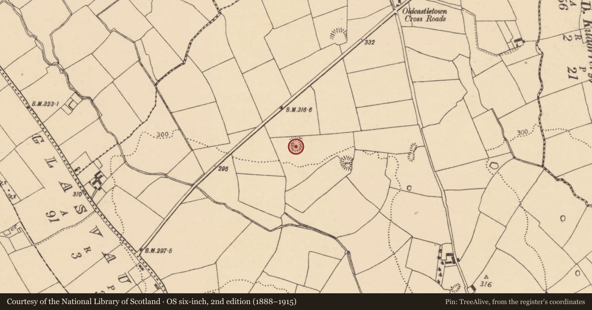 Ordnance Survey six-inch map, 2nd edition (1888–1915) covering the location of Enclosure, Oldcastletown, County Cork, with a pin at the register's coordinates