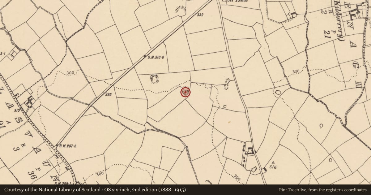 Ordnance Survey six-inch map, 2nd edition (1888–1915) covering the location of Ringfort - rath, Oldcastletown, County Cork, with a pin at the register's coordinates