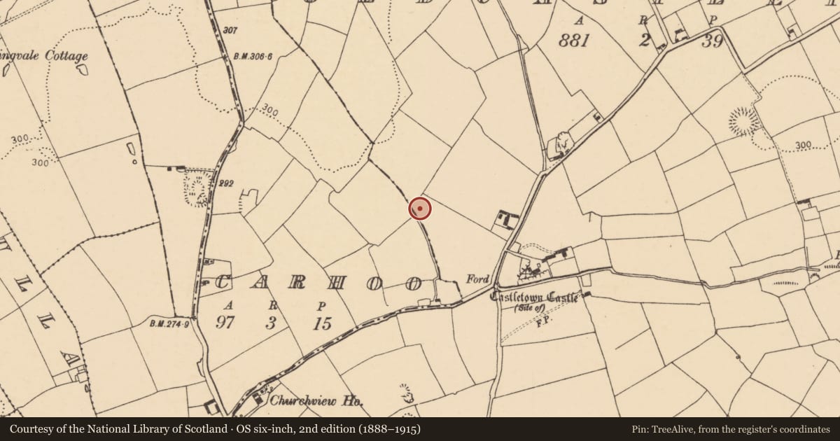 Ordnance Survey six-inch map, 2nd edition (1888–1915) covering the location of Ringfort - rath, Oldcastletown, County Cork, with a pin at the register's coordinates