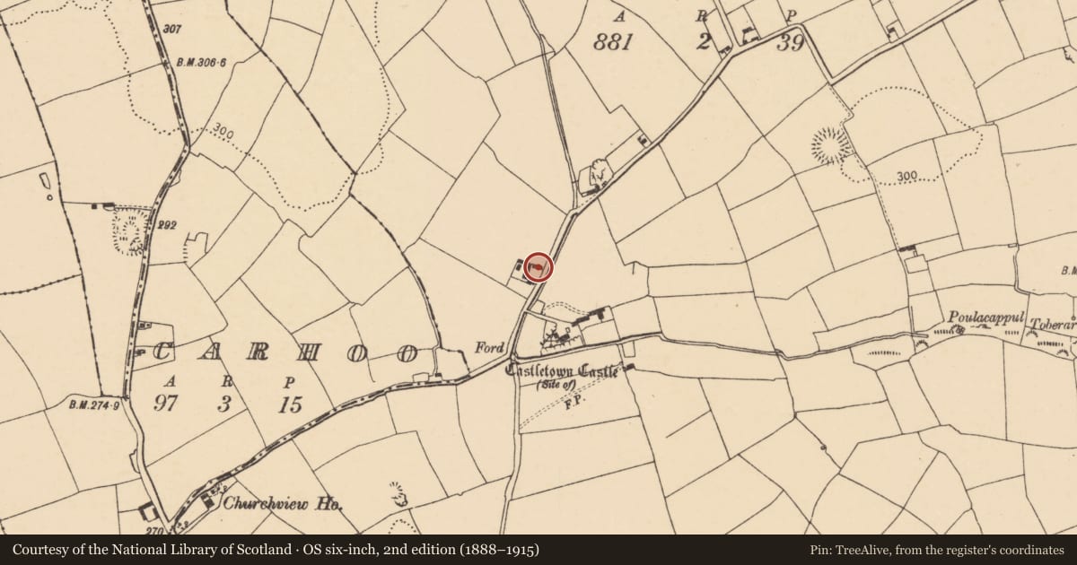 Ordnance Survey six-inch map, 2nd edition (1888–1915) covering the location of House - vernacular house, Oldcastletown, County Cork, with a pin at the register's coordinates
