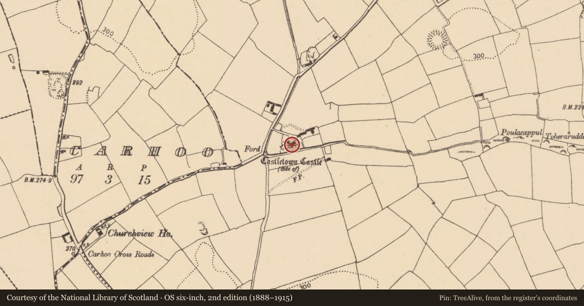 Ordnance Survey six-inch map, 2nd edition (1888–1915) covering the location of Castle - unclassified, Oldcastletown, County Cork, with a pin at the register's coordinates