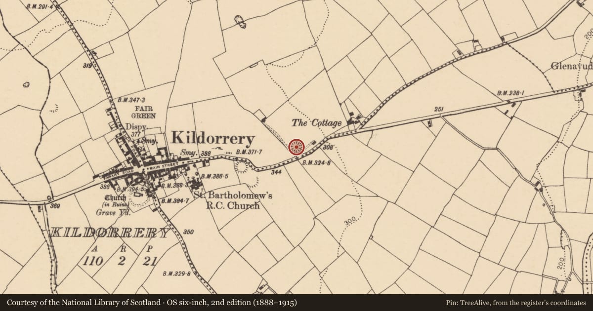 Ordnance Survey six-inch map, 2nd edition (1888–1915) covering the location of Ringfort - rath, Oldcastletown, County Cork, with a pin at the register's coordinates