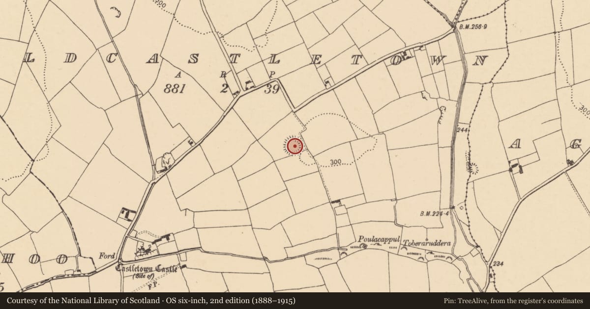 Ordnance Survey six-inch map, 2nd edition (1888–1915) covering the location of Ringfort - rath, Oldcastletown, County Cork, with a pin at the register's coordinates