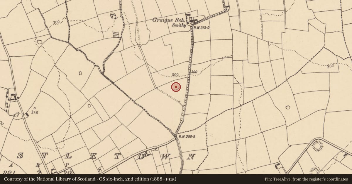 Ordnance Survey six-inch map, 2nd edition (1888–1915) covering the location of Ringfort - rath, Cullenagh (Condons and Clongibbon By., Templemolaga Par.), County Cork, with a pin at the register's coordinates