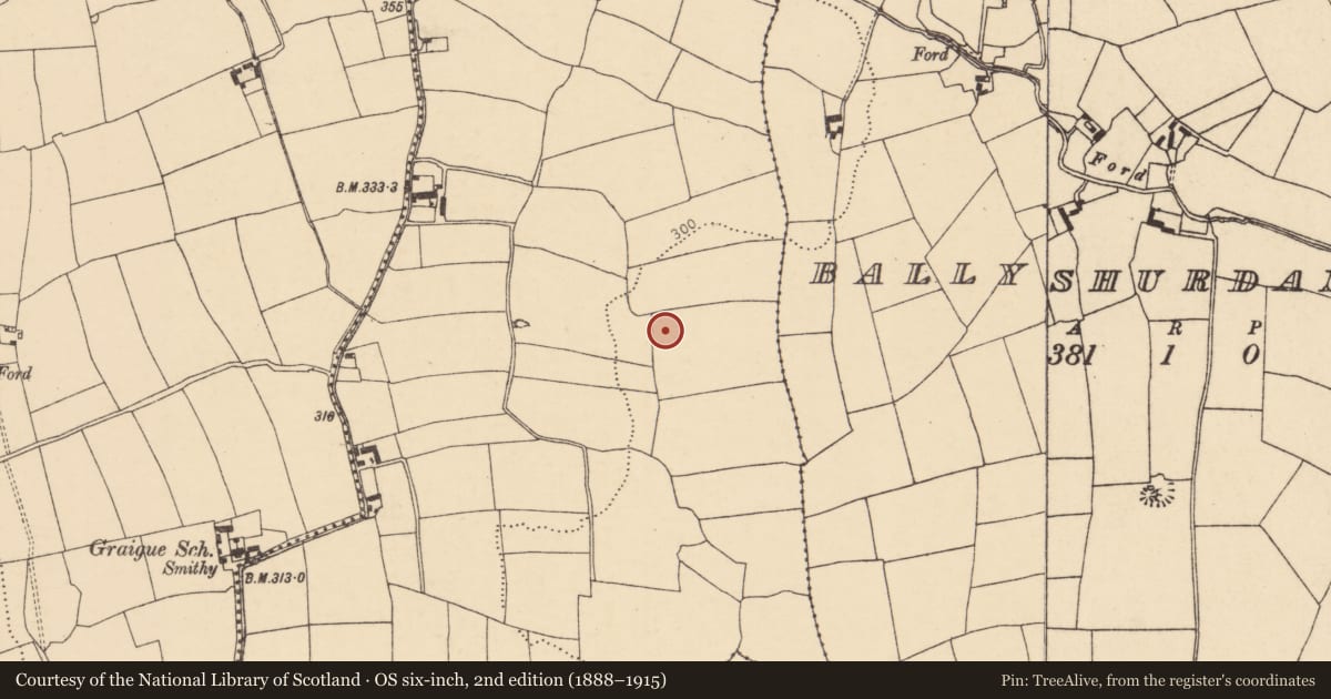 Ordnance Survey six-inch map, 2nd edition (1888–1915) covering the location of Ringfort - rath, Graigue (Condons and Clongibbon By., Templemolaga Par.), County Cork, with a pin at the register's coordinates