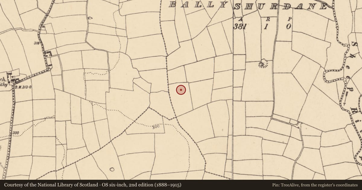 Ordnance Survey six-inch map, 2nd edition (1888–1915) covering the location of Enclosure, Ballyshurdane, County Cork, with a pin at the register's coordinates
