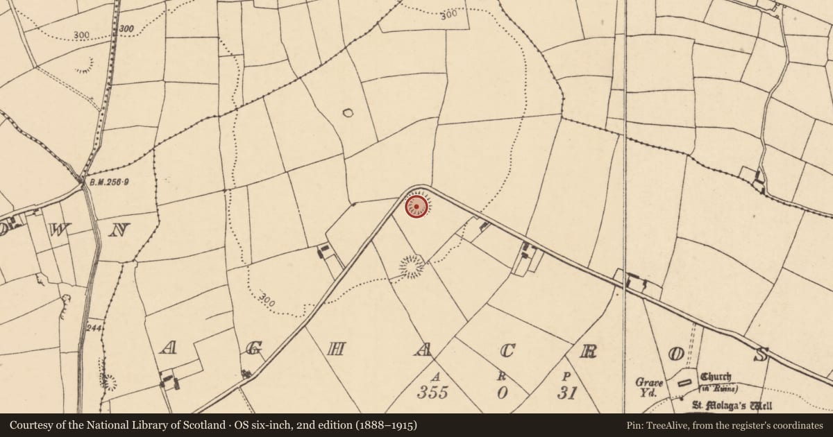 Ordnance Survey six-inch map, 2nd edition (1888–1915) covering the location of Ringfort - rath, Aghacross, County Cork, with a pin at the register's coordinates