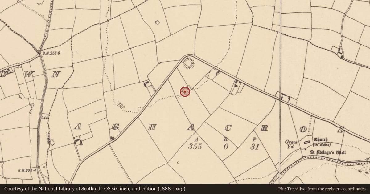 Ordnance Survey six-inch map, 2nd edition (1888–1915) covering the location of Ringfort - rath, Aghacross, County Cork, with a pin at the register's coordinates