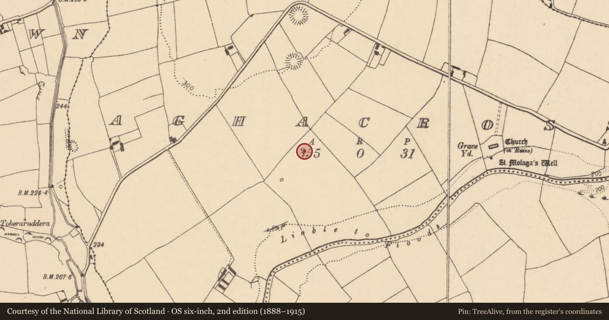 Ordnance Survey six-inch map, 2nd edition (1888–1915) covering the location of Quarry, Aghacross, County Cork, with a pin at the register's coordinates