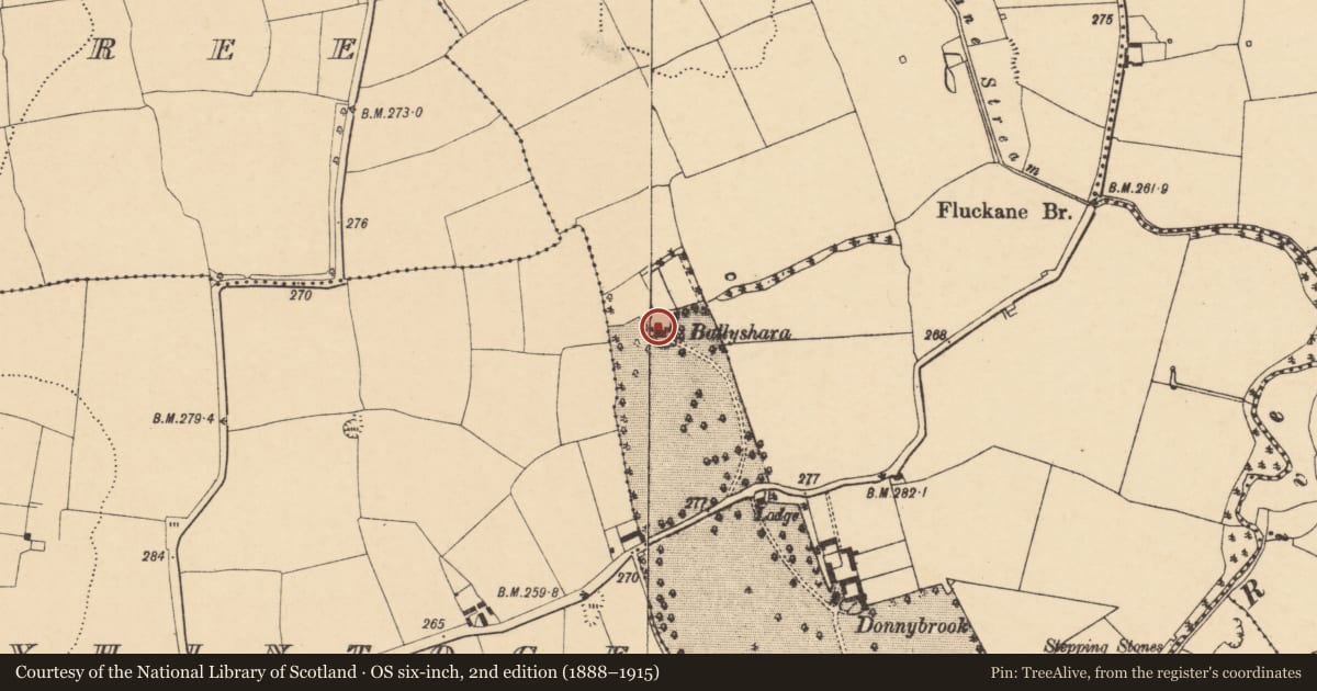 Ordnance Survey six-inch map, 2nd edition (1888–1915) covering the location of Country house, Skahanagh More, County Cork, with a pin at the register's coordinates