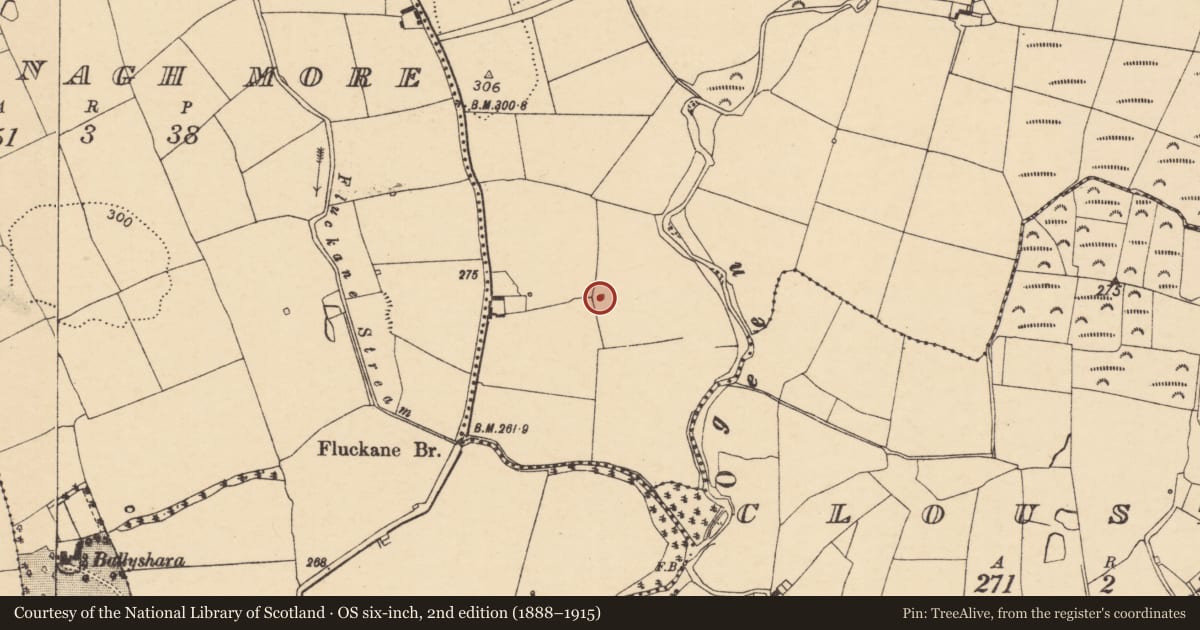 Ordnance Survey six-inch map, 2nd edition (1888–1915) covering the location of Kiln - lime, Ballintlea South, County Cork, with a pin at the register's coordinates