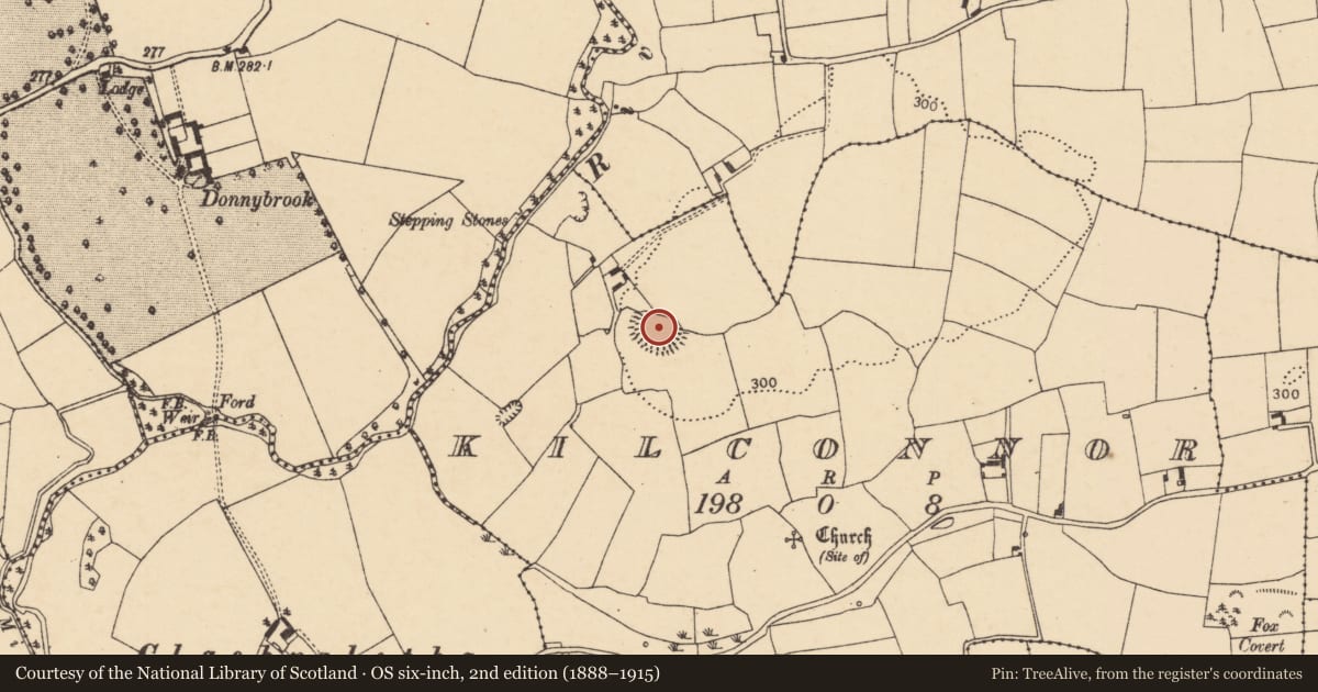 Ordnance Survey six-inch map, 2nd edition (1888–1915) covering the location of Enclosure, Kilconnor, County Cork, with a pin at the register's coordinates
