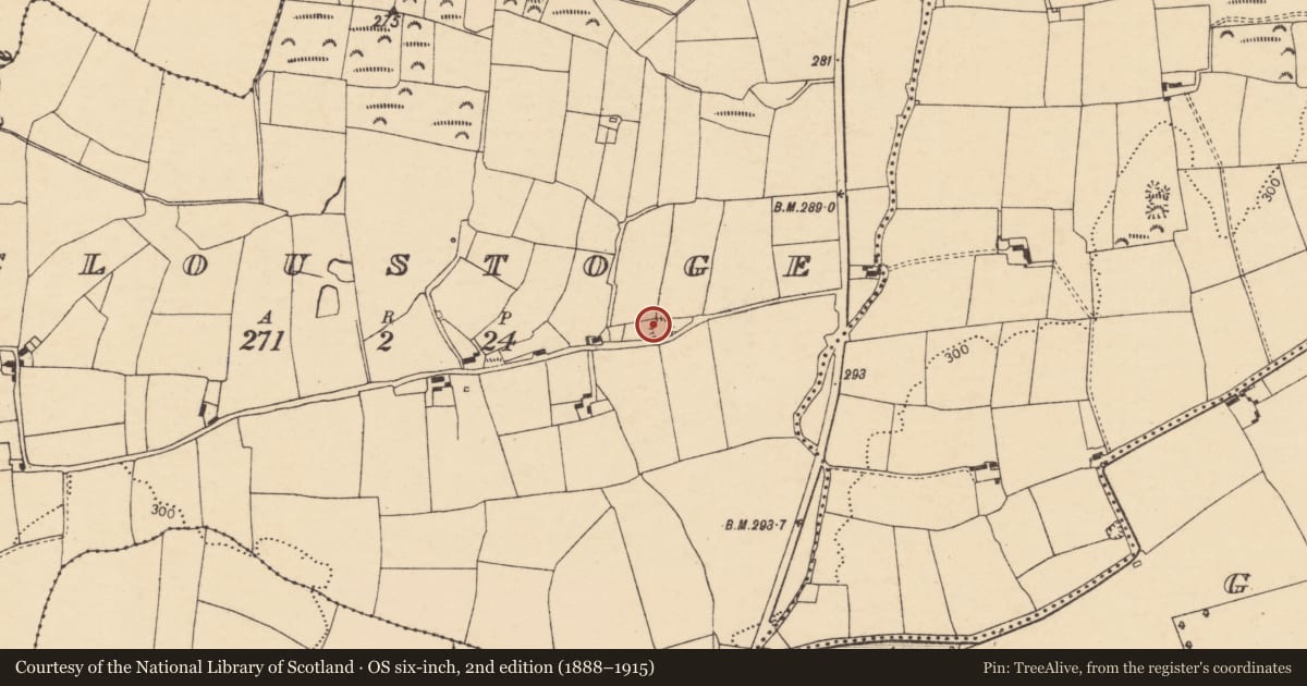 Ordnance Survey six-inch map, 2nd edition (1888–1915) covering the location of Ringfort - rath, Cloustoge, County Cork, with a pin at the register's coordinates