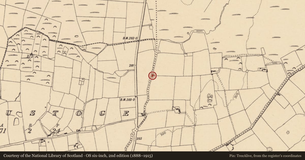 Ordnance Survey six-inch map, 2nd edition (1888–1915) covering the location of Kiln - lime, Graig Upper, County Cork, with a pin at the register's coordinates
