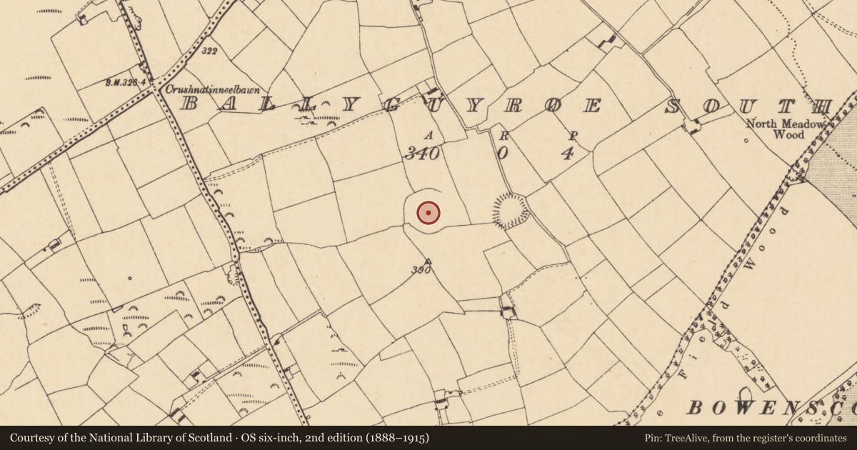 Ordnance Survey six-inch map, 2nd edition (1888–1915) covering the location of Ecclesiastical enclosure, Ballyguyroe South, County Cork, with a pin at the register's coordinates