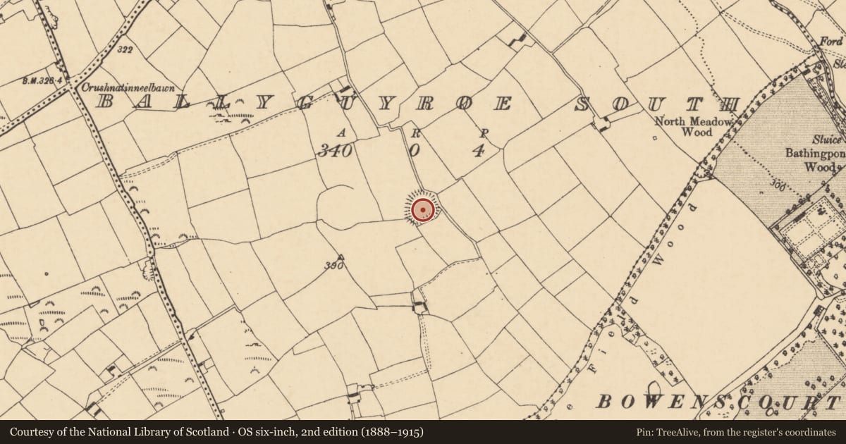 Ordnance Survey six-inch map, 2nd edition (1888–1915) covering the location of Ringfort - rath, Ballyguyroe South, County Cork, with a pin at the register's coordinates