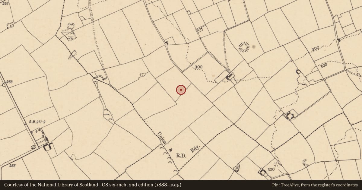 Ordnance Survey six-inch map, 2nd edition (1888–1915) covering the location of Ringfort - rath, Farahy, County Cork, with a pin at the register's coordinates