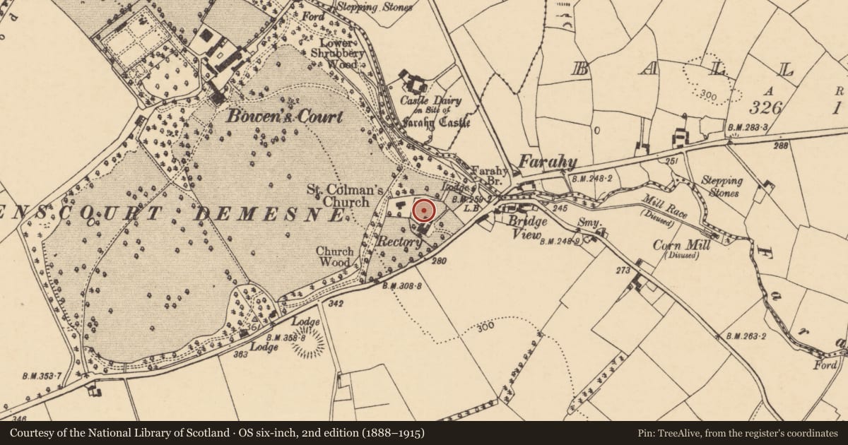 Ordnance Survey six-inch map, 2nd edition (1888–1915) covering the location of Graveyard, Farahy, County Cork, with a pin at the register's coordinates
