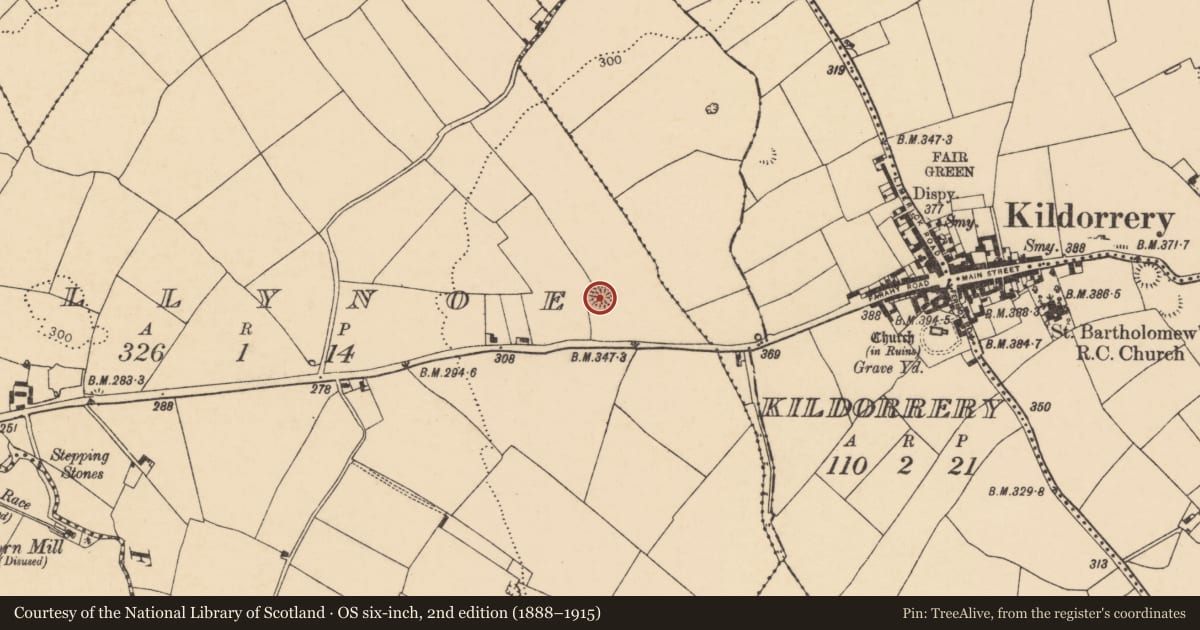 Ordnance Survey six-inch map, 2nd edition (1888–1915) covering the location of Ringfort - rath, Ballynoe, County Cork, with a pin at the register's coordinates