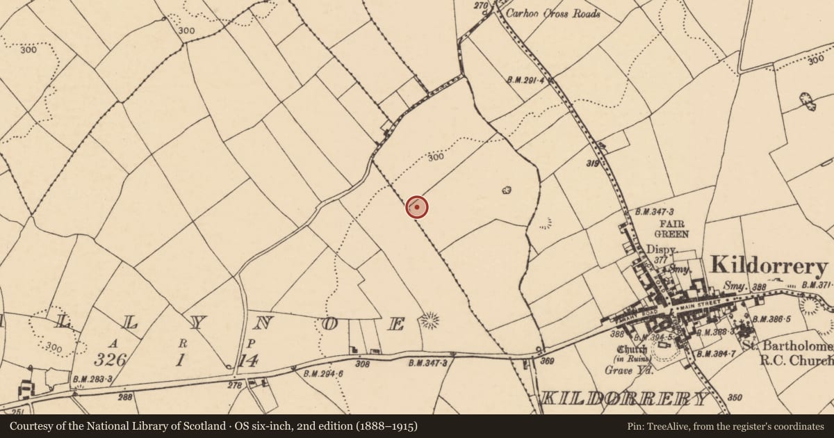 Ordnance Survey six-inch map, 2nd edition (1888–1915) covering the location of Ringfort - rath, Meadstown, County Cork, with a pin at the register's coordinates