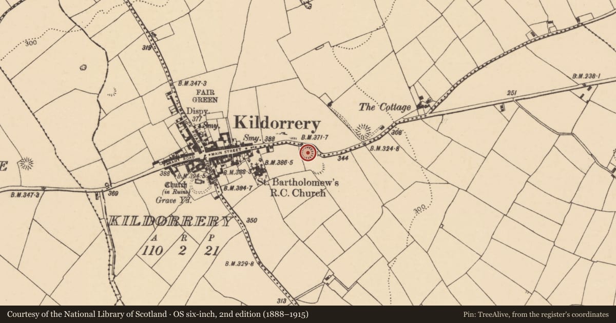 Ordnance Survey six-inch map, 2nd edition (1888–1915) covering the location of Ringfort - rath, Scart, County Cork, with a pin at the register's coordinates
