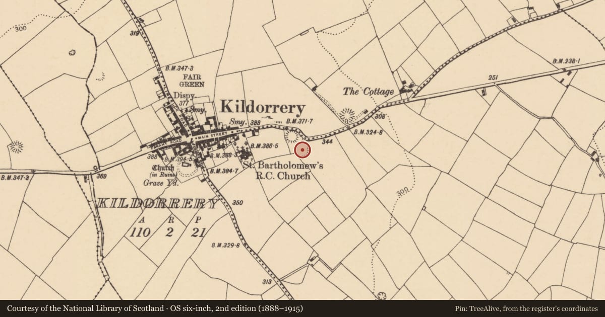 Ordnance Survey six-inch map, 2nd edition (1888–1915) covering the location of Ringfort - rath, Scart, County Cork, with a pin at the register's coordinates