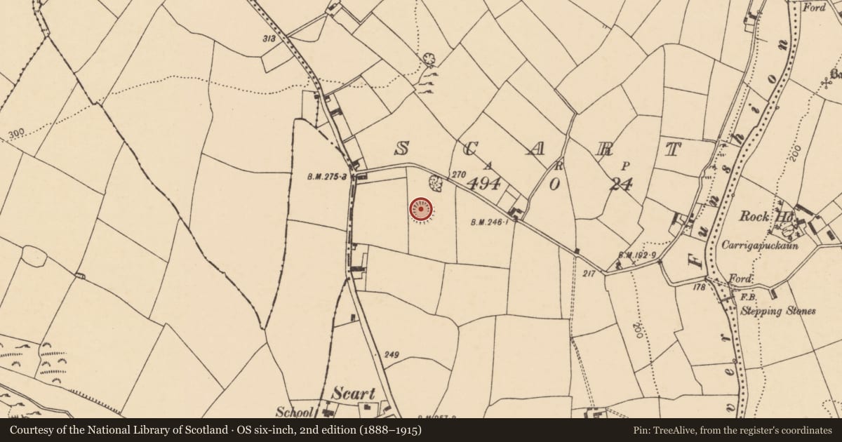 Ordnance Survey six-inch map, 2nd edition (1888–1915) covering the location of Ringfort - rath, Scart, County Cork, with a pin at the register's coordinates