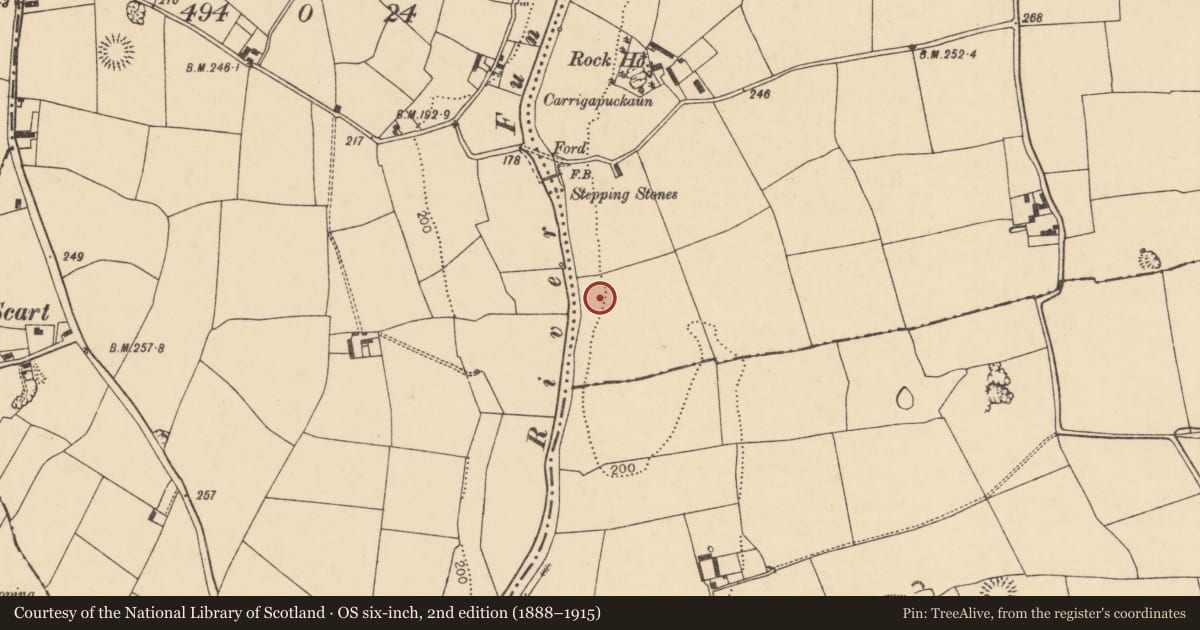 Ordnance Survey six-inch map, 2nd edition (1888–1915) covering the location of Flat cemetery, Ballyenahan North, County Cork, with a pin at the register's coordinates