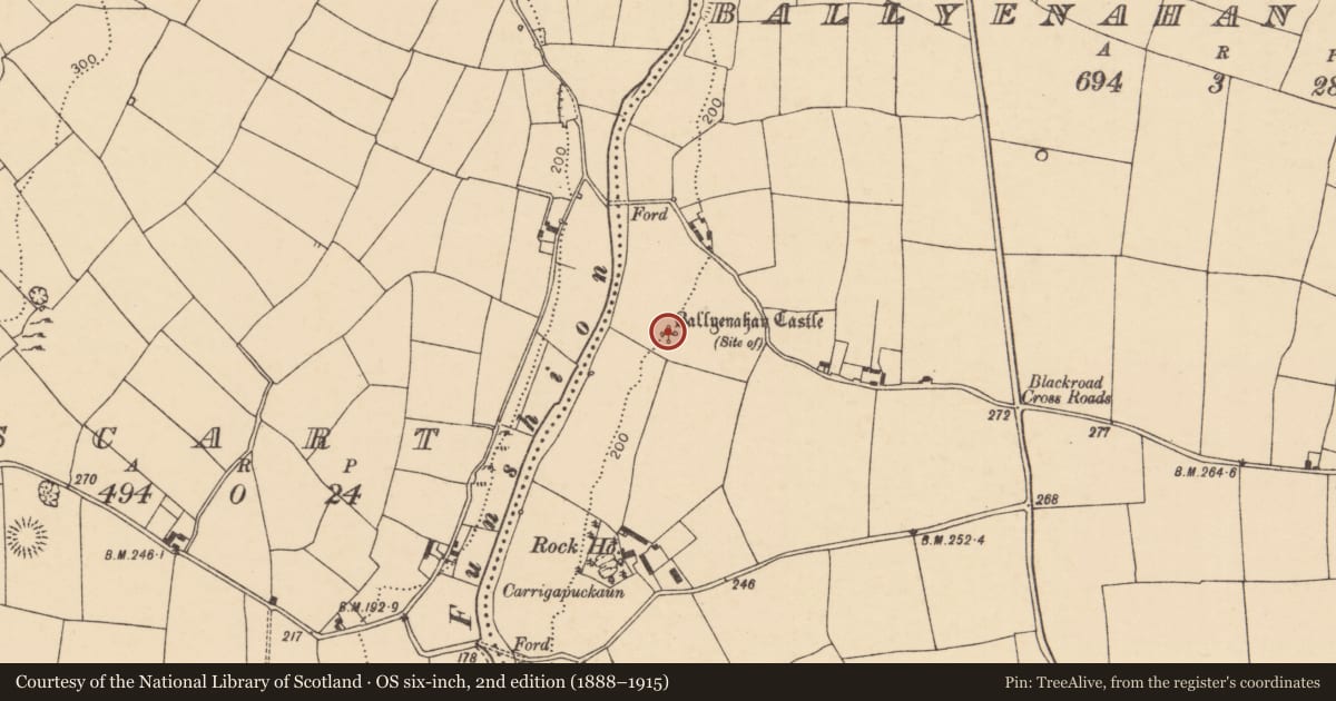 Ordnance Survey six-inch map, 2nd edition (1888–1915) covering the location of Castle - unclassified, Ballyenahan North, County Cork, with a pin at the register's coordinates
